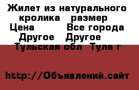 Жилет из натурального кролика,44размер › Цена ­ 500 - Все города Другое » Другое   . Тульская обл.,Тула г.